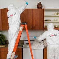 PuroClean Restoration Specialists Logo