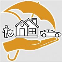 Susanaa Caceras Insurance Logo