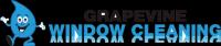 Grapevine Window Cleaning Logo