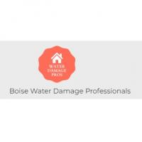 Boise Water Damage Professionals Logo