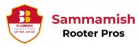 Sammamish Plumbing, Drain and Rooter Pros Logo