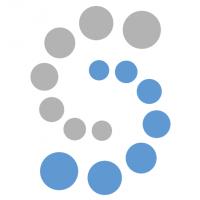 Softline Solutions Logo