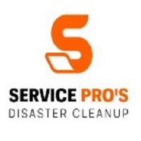 Lewisville Water Damage Pros Logo