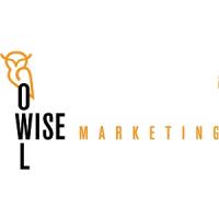Asheville Web Design & Asheville SEO | Owl Wise Marketing Logo