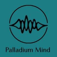Palladium Mind Inc. Logo