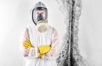 Mold Experts of Seattle Logo