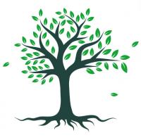 Virginia Beach Tree Removal Services Logo