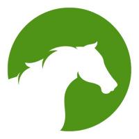 OwnTheHorse Logo