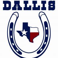 Dallis Refrigeration of Texas logo
