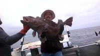 Kingfisher Fishing Lodge Logo