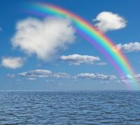 Rainbow Warriors Charity Group, LLC Logo