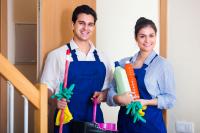 Pineapple Express Cleaning LLC Logo