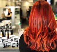 Mane Changes Salon Logo