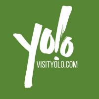 Visit Yolo Logo