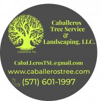 Caballeros Tree Service & Landscaping, LLC. Logo