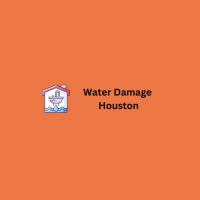 Water Damage Houston Pros Logo