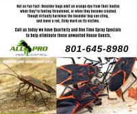 All PRO Pest Control Logo