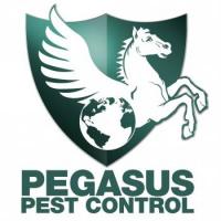 Pegasus Pest Control - A Division of Official Pest Prevention logo