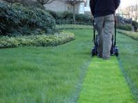 Better Lawn Care Logo