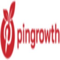 PinGrowth logo