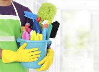 Genius Cleaning Service Logo