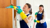 Esme’s Cleaning Service Logo
