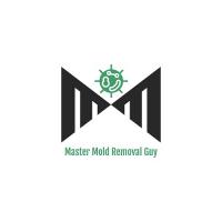 Master Mold Removal Guy Logo