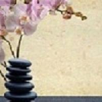 Aqua Salon & Day Spa Logo