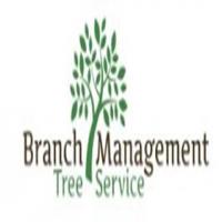 AZ Tree Doctor Logo