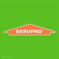 SERVPRO of Dallas Love Logo