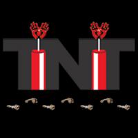 TNT Consulting Firm LLC logo
