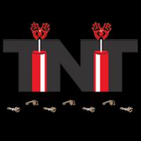TNT Consulting Firm LLC Logo