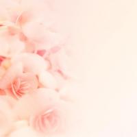 Captivating Keepsakes Logo