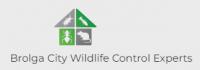 Brolga City Wildlife Control Experts Logo