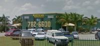 American Used Auto Parts Logo
