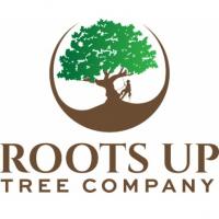 Roots Up Tree Company Logo