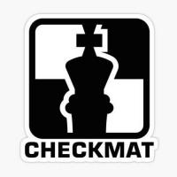 Checkmat Port Charlotte Logo