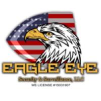 Eagle Eye Security & Surveillance, LLC Logo