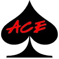 ACE Pool Repair Logo