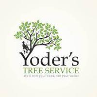 Melbourne Tree Service Logo