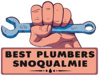Best Plumbers Snoqualmie Logo