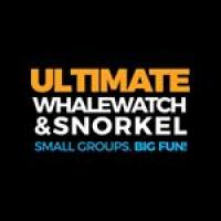 Ultimate Whale Watch & Snorkel Logo
