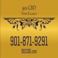 901 CBD LLC. Logo