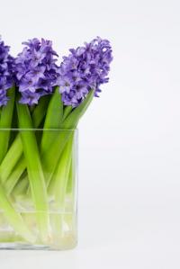 Luxe Flower Box Logo