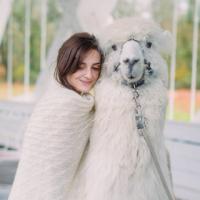 Llama Fiber Cooperative of North America Logo