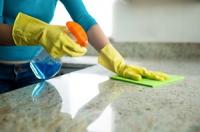 Sparkling Eagle House Cleaning Logo