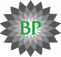 Petr Brazhnikov Partners ltd Logo