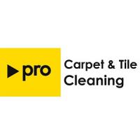 Pro Carpet & Tile Cleaning Logo