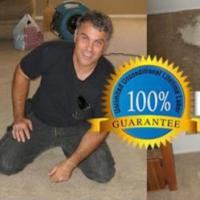 Phoenix Creative Carpet Repair Services Logo