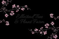 Ellestad Tree And Plant Farm Logo